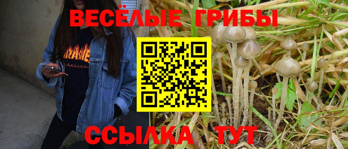 Бошки Шишки  Героин  Сколько стоит  МЕФ кристаллы  Тавда  Вход с VPN  COCAIN  ГАШ  LSD-25 