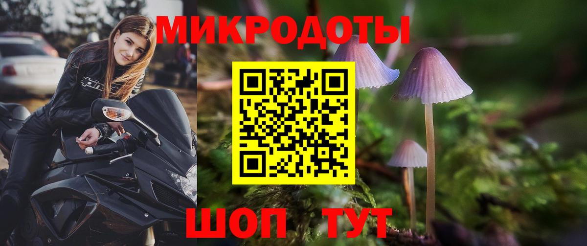 Галлюциногенные грибы мухоморы  Вход с VPN  Тавда 